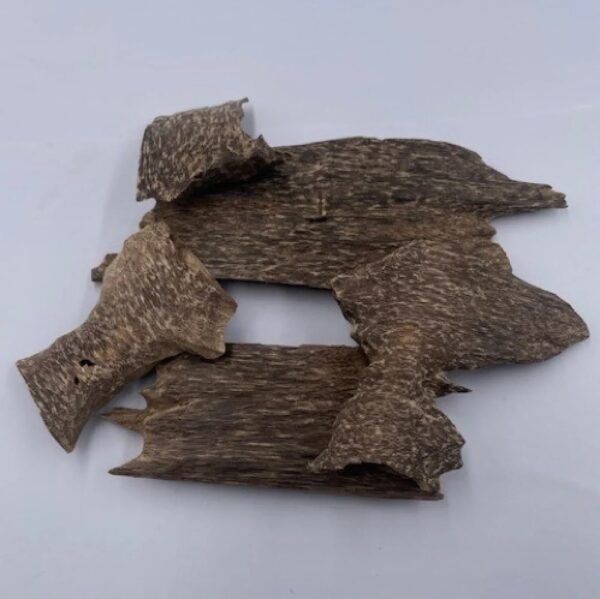 عود تراد 3 سوبر